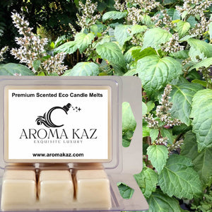 Australian Patchouli Eco Soy Candle Wax Melts Clam Packs