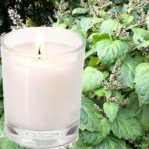 Australian Patchouli Scented Eco Soy Votive Candles Hand Poured