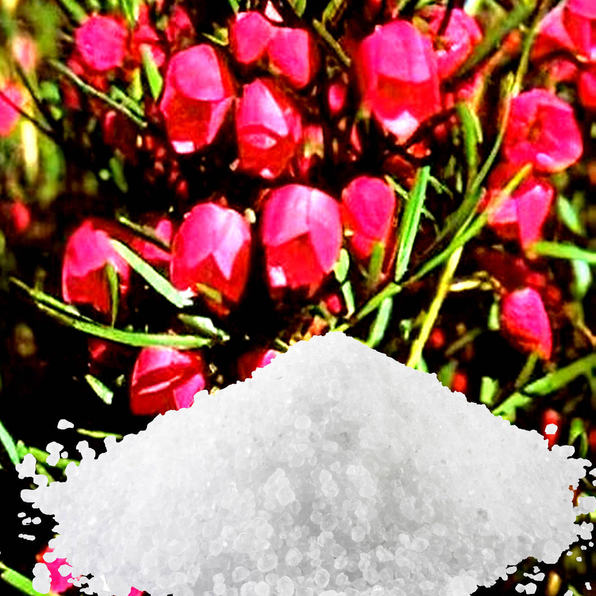 Australian Red Boronia Bath Salts/Bath Soak/Bath Crystals