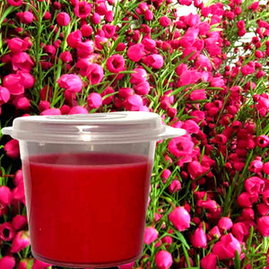 Australian Red Boronia Eco Soy Shot Pot Candle Melts