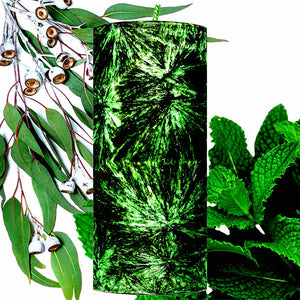 Eucalyptus & Spearmint Palm Wax Pillar Candle