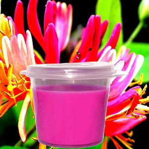 Japanese Honeysuckle Eco Soy Candle Melts – Vegan, Cruelty-Free, Handmade in Australia - Long-Lasting Fragrance for Oil Burners and Electric Melters