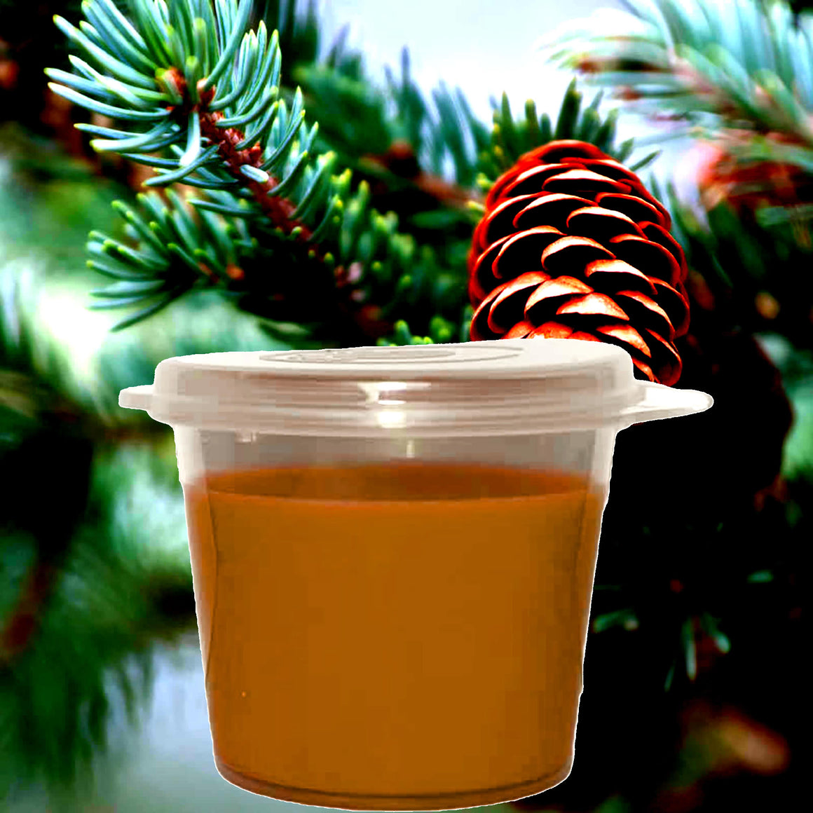 Balsam & Cedar Soy Candle Melt Shot Pots – Plant-Based, Vegan, Cruelty-Free, Hand-Poured