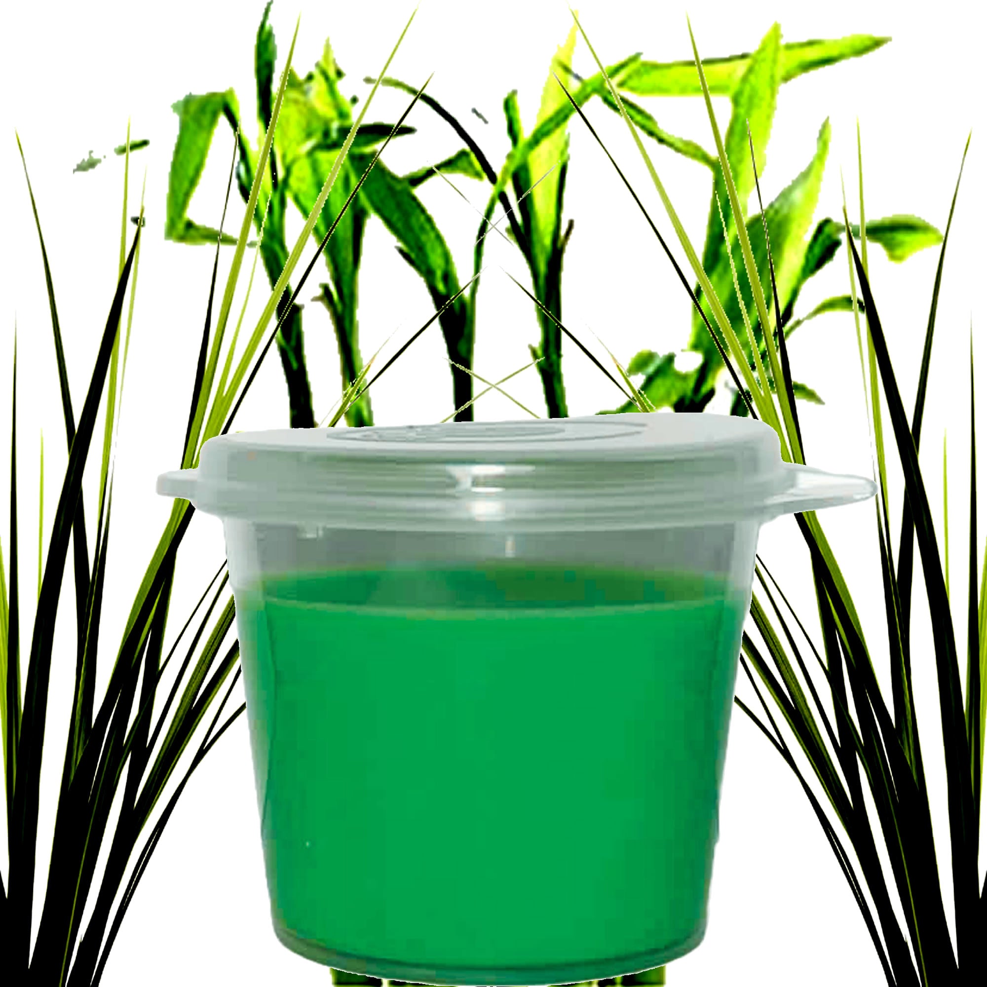 Bamboo & Vetiver Soy Candle Melt Shot Pots – Plant-Based, Vegan, Cruelty-Free, Hand-Poured