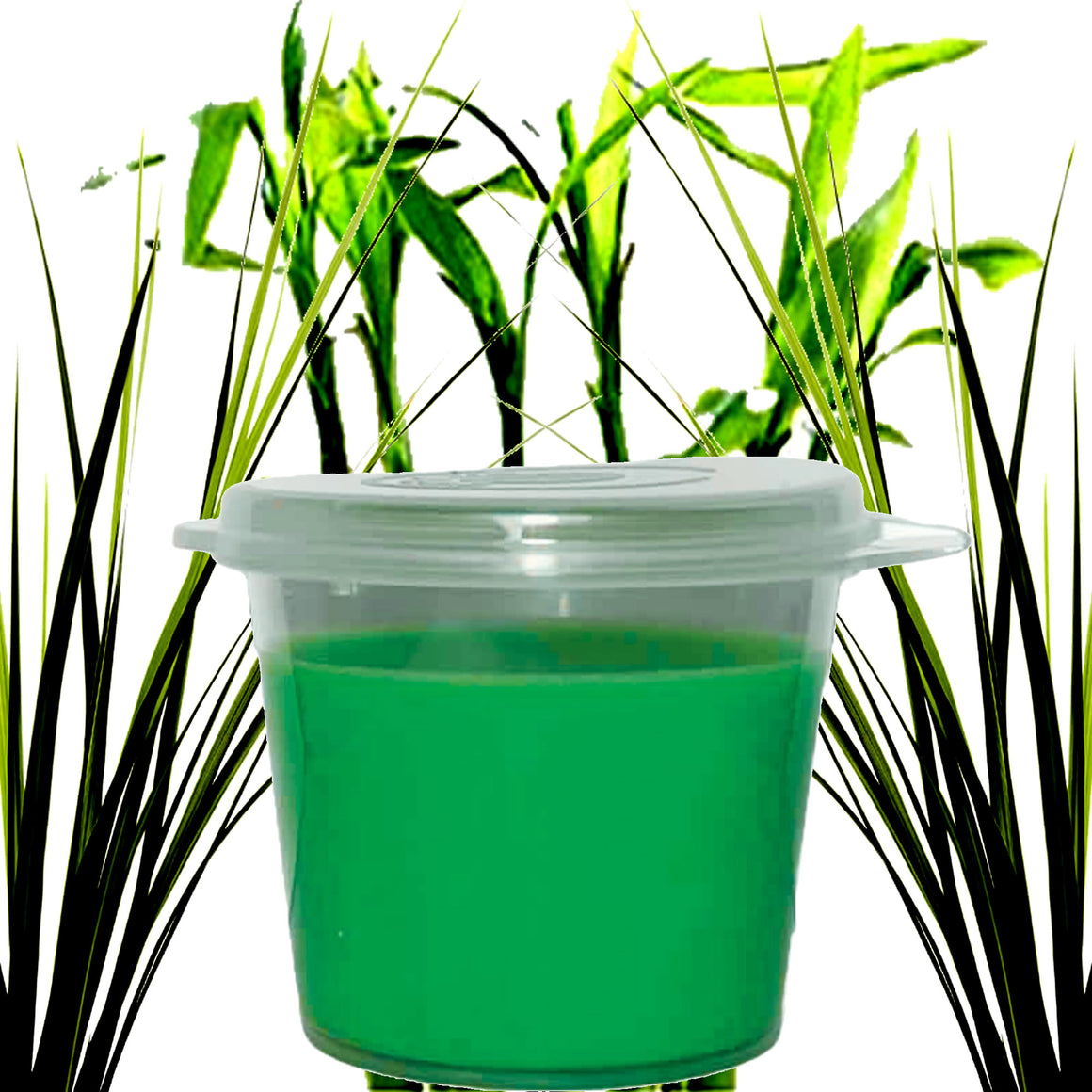 Bamboo & Vetiver Soy Candle Melt Shot Pots – Plant-Based, Vegan, Cruelty-Free, Hand-Poured