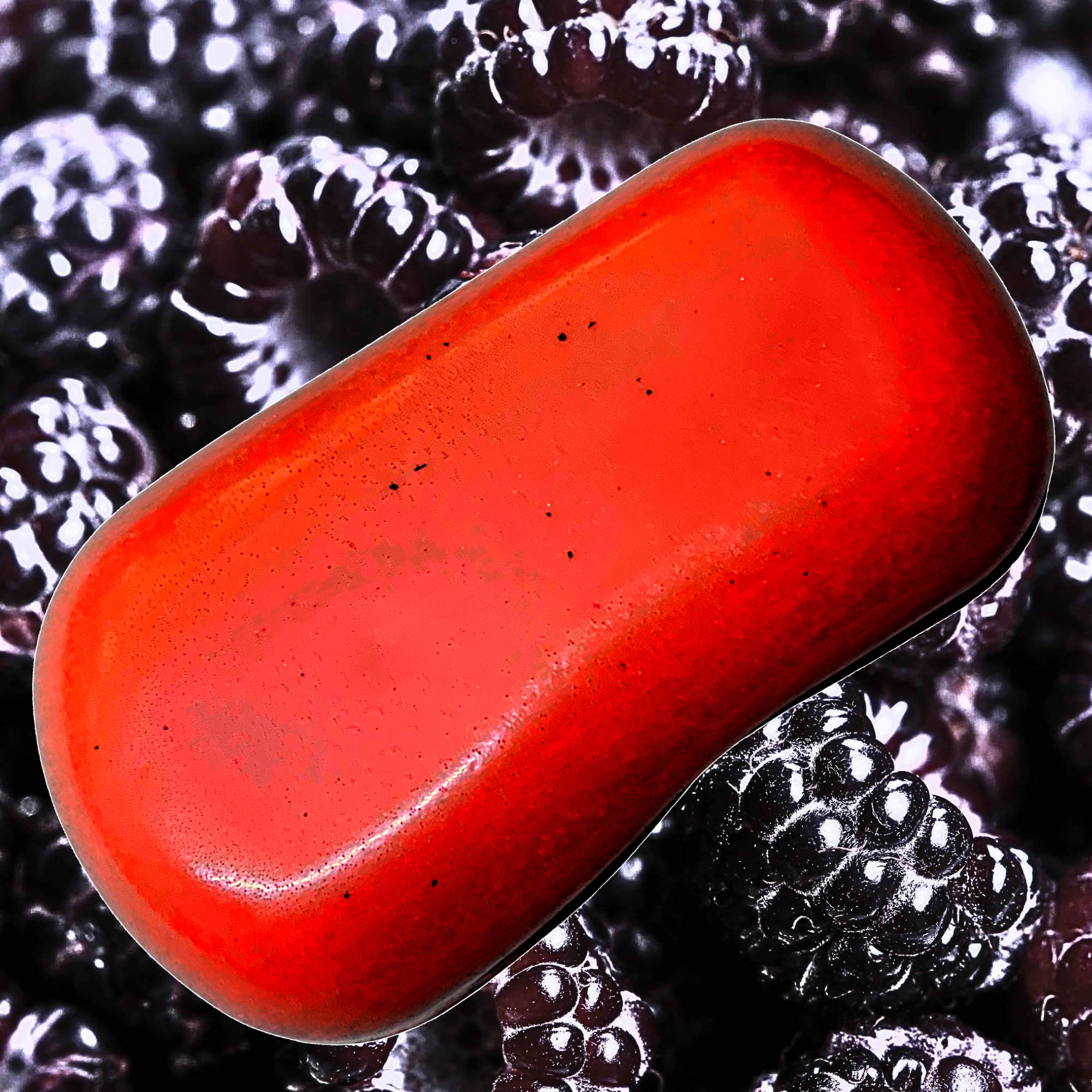 Black Raspberries Vegan Soap Bars Plant-Based Cruelty-Free Handcrafted