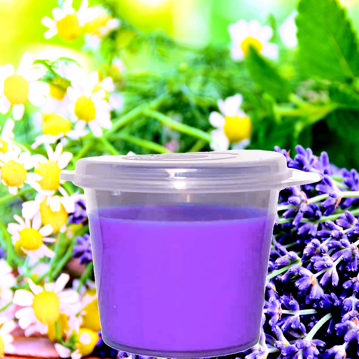 Chamomile & Lavender eco soy wax melts – vegan, cruelty-free featuring calming chamomile and lavender herbal aroma, handmade in Australia.