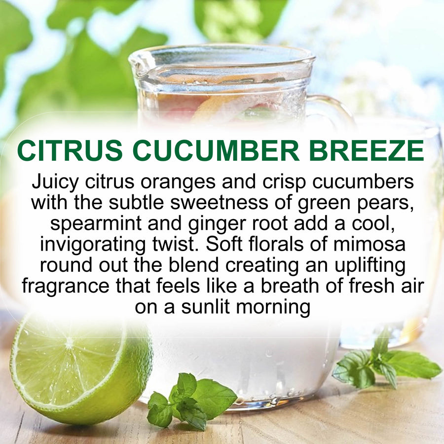 Citrus Cucumber Breeze Soy Candle Melt Shot Pots – Plant-Based, Vegan, Cruelty-Free, Hand-Poured