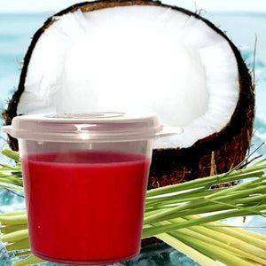 Coconut Lemongrass Eco Soy Shot Pot Candle Melts