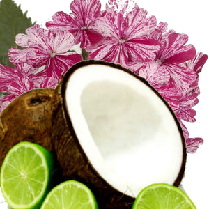 Coconut Lime Verbena Scented Aroma Beads Room/Car Air Freshener