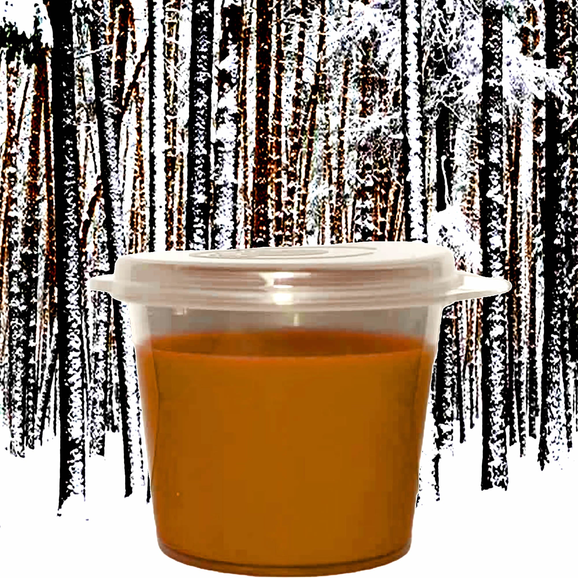 Crackling Birch Soy Candle Melt Shot Pots – Plant-Based, Vegan, Cruelty-Free, Hand-Poured