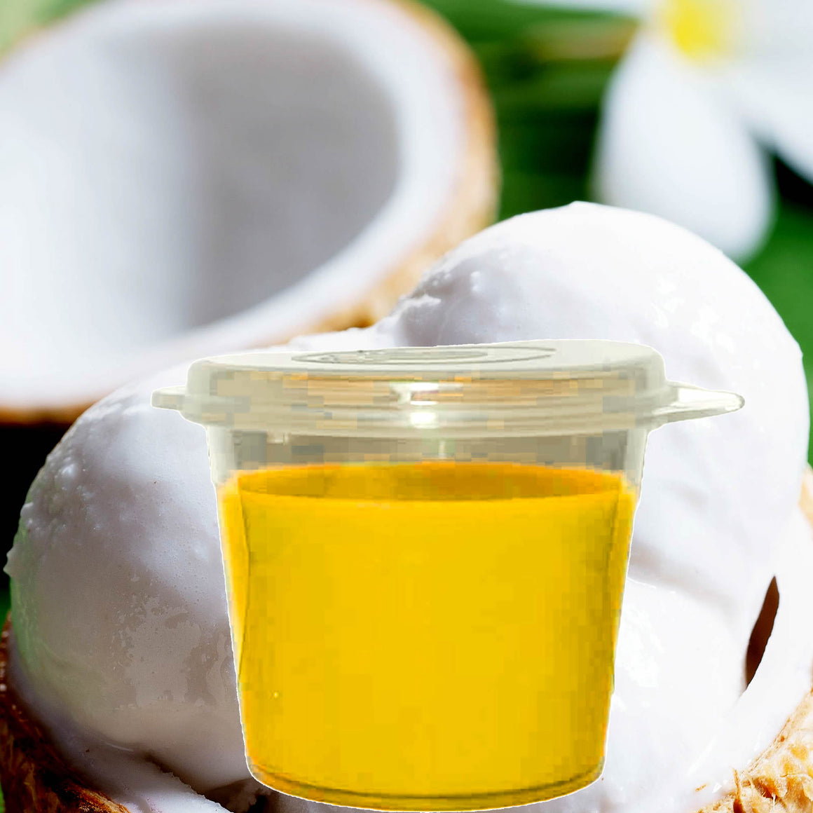 Creamy Tahitian Vanilla Soy Candle Melt Shot Pots – Plant-Based, Vegan, Cruelty-Free, Hand-Poured