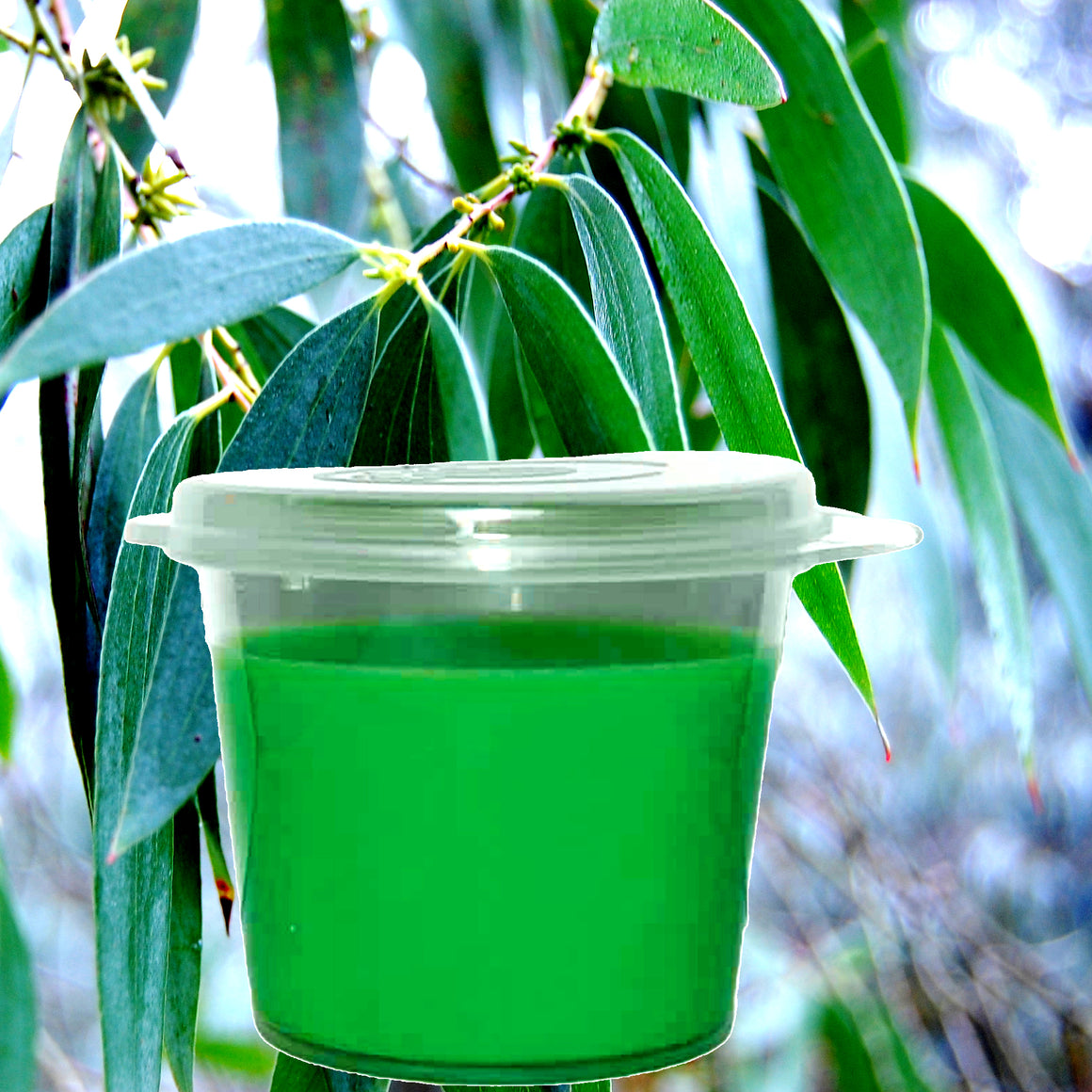 Eucalyptus & Citronella eco soy wax melts – vegan, cruelty-free featuring crisp eucalyptus and bright citrus citronella, handmade in Australia.
