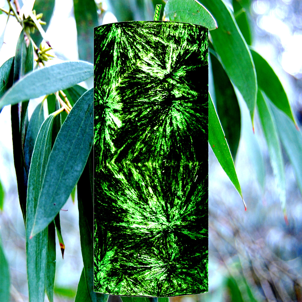 Eucalyptus & Citronella Pillar Candle – Plant-Based, Eco-Friendly, Vegan, Cruelty Free