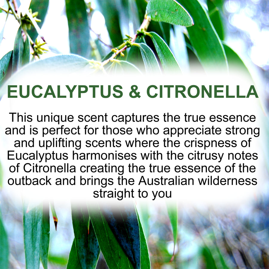 Eucalyptus & Citronella fragrance oil for candle making, soap making and perfume blending – vegan, cruelty-free featuring crisp eucalyptus and bright citrus citronella, handmade in Australia.
