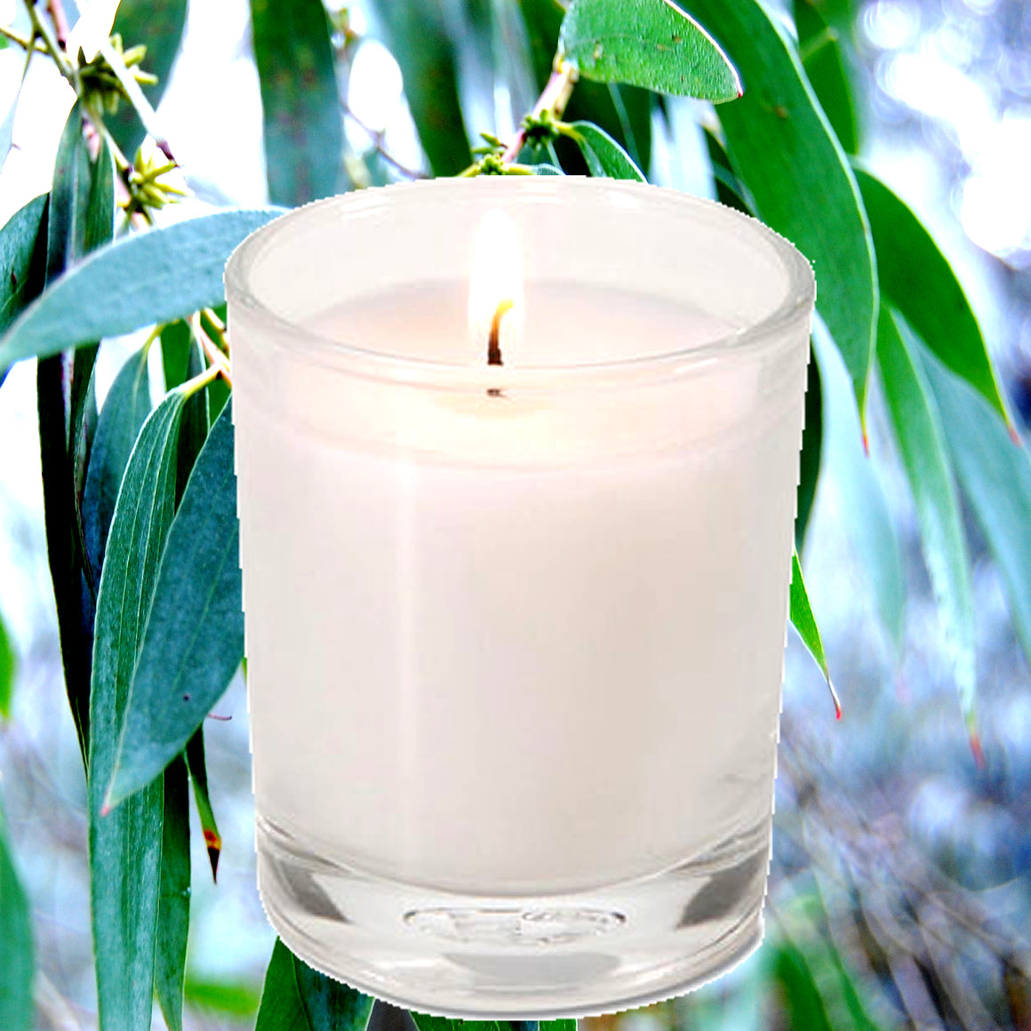 Eucalyptus & Citronella Eco Soy Votive Candles – Clean Burn, Plant-Based, Vegan & Pet Safe