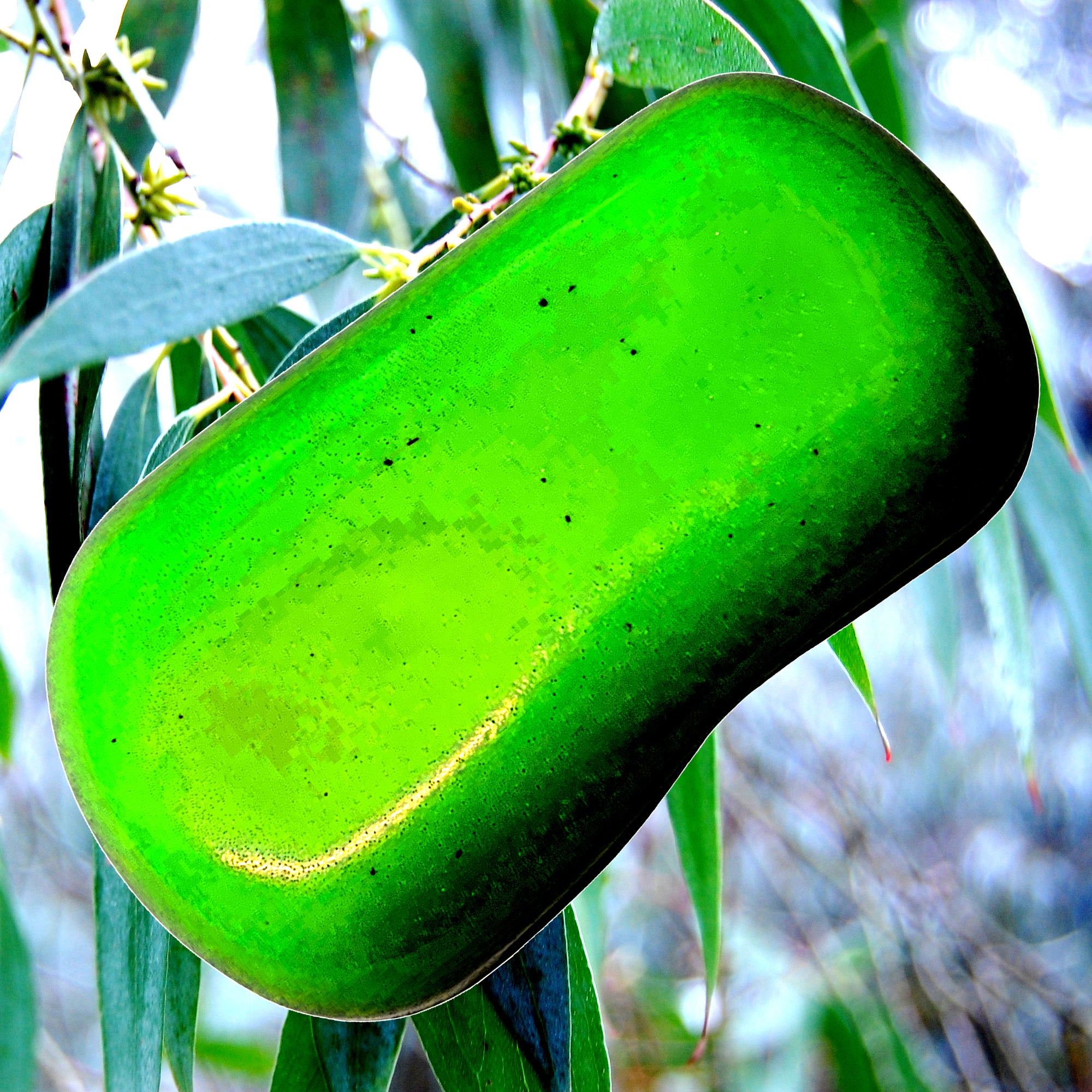 Eucalyptus & Citronella Vegan Soap Bars Plant-Based Cruelty-Free Handcrafted