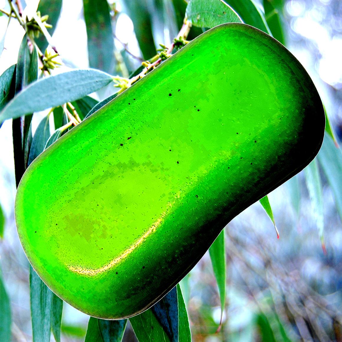 Eucalyptus & Citronella Vegan Soap Bars Plant-Based Cruelty-Free Handcrafted