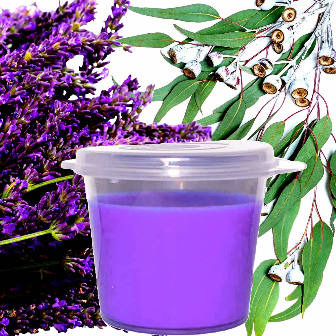 Eucalyptus & Lavender eco soy wax melts – vegan, cruelty-free featuring calming lavender and fresh eucalyptus, handmade in Australia.