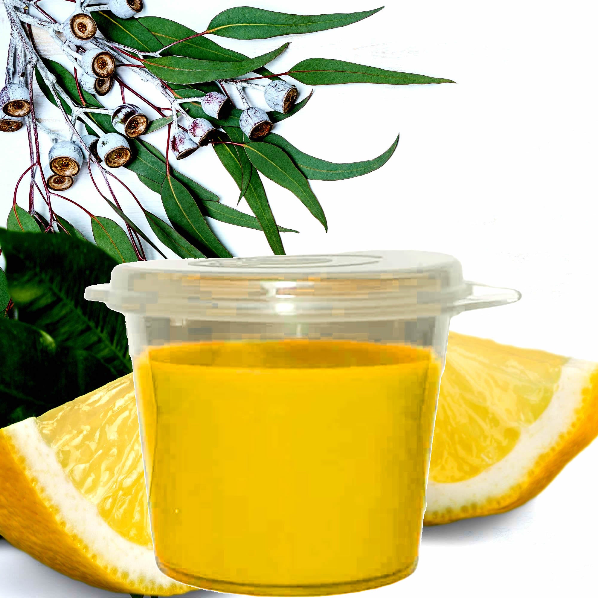 Eucalyptus & Lemon scent description card featuring citrus lemon and fresh eucalyptus notes.