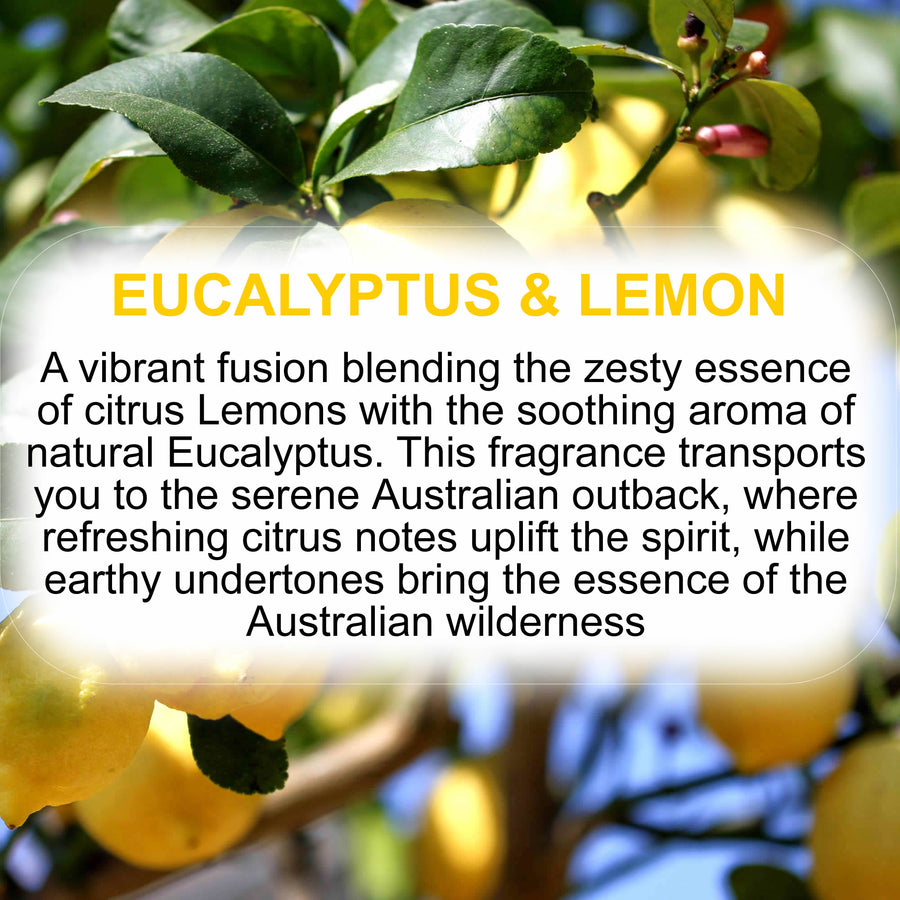 Eucalyptus & Lemon fragrance oil for candle making, soap making and perfume blending – vegan, cruelty-free featuring bright lemon and invigorating eucalyptus, handmade in Australia.