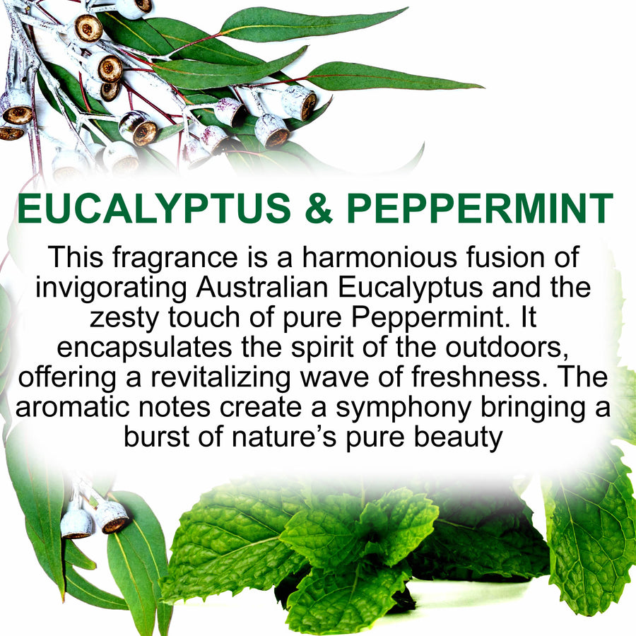 Eucalyptus & Peppermint Car Air Freshener Spray Deodoriser – eco-friendly, vegan, cruelty-free handmade featuring cooling peppermint and crisp eucalyptus, handmade in Australia.