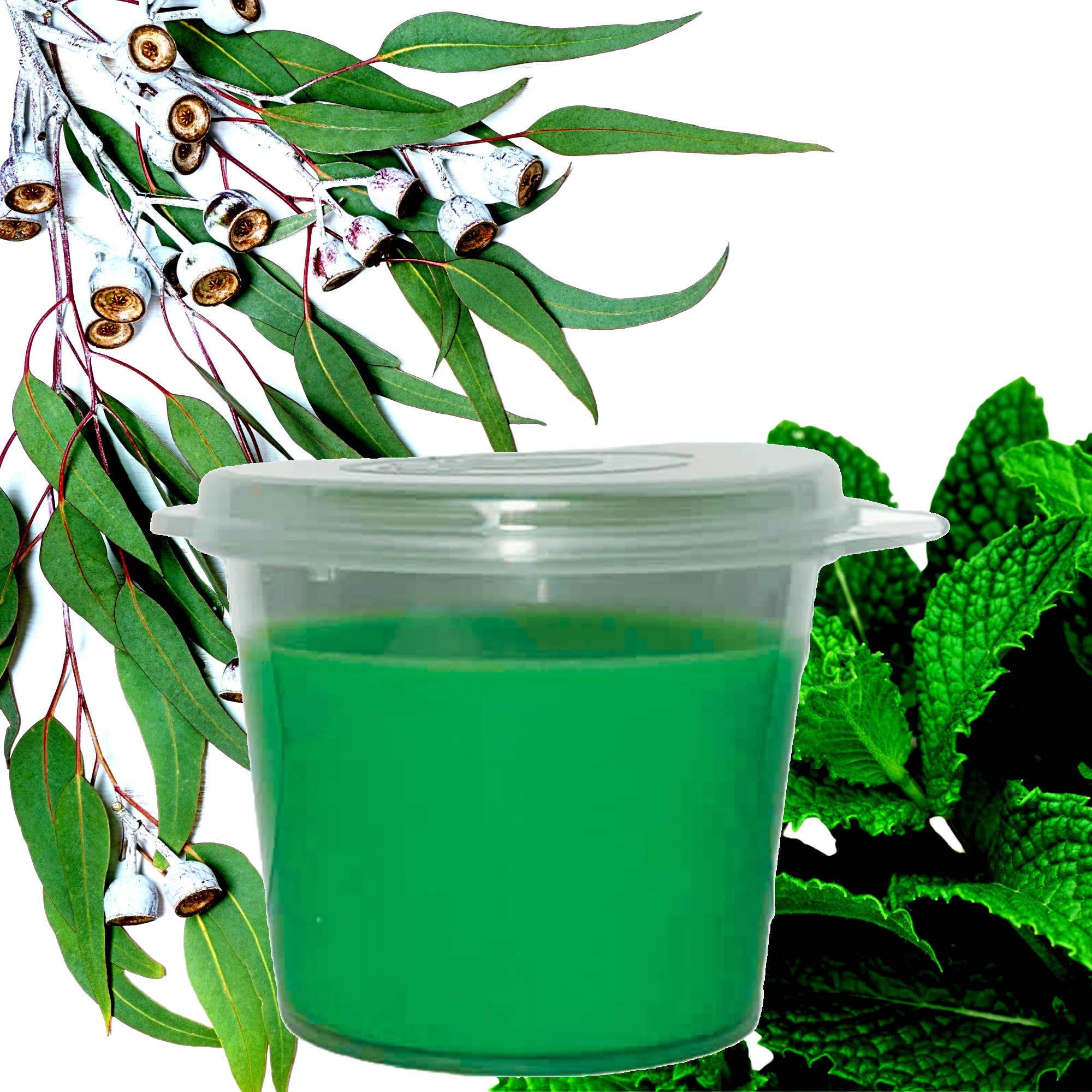 Eucalyptus & Spearmint eco soy wax melts – vegan, cruelty-free featuring refreshing spearmint and eucalyptus notes, handmade in Australia.