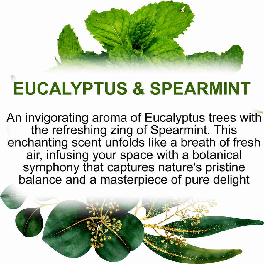 Eucalyptus & Spearmint Car Air Freshener Spray – Plant-Based, Vegan, Cruelty-Free & Pet Safe