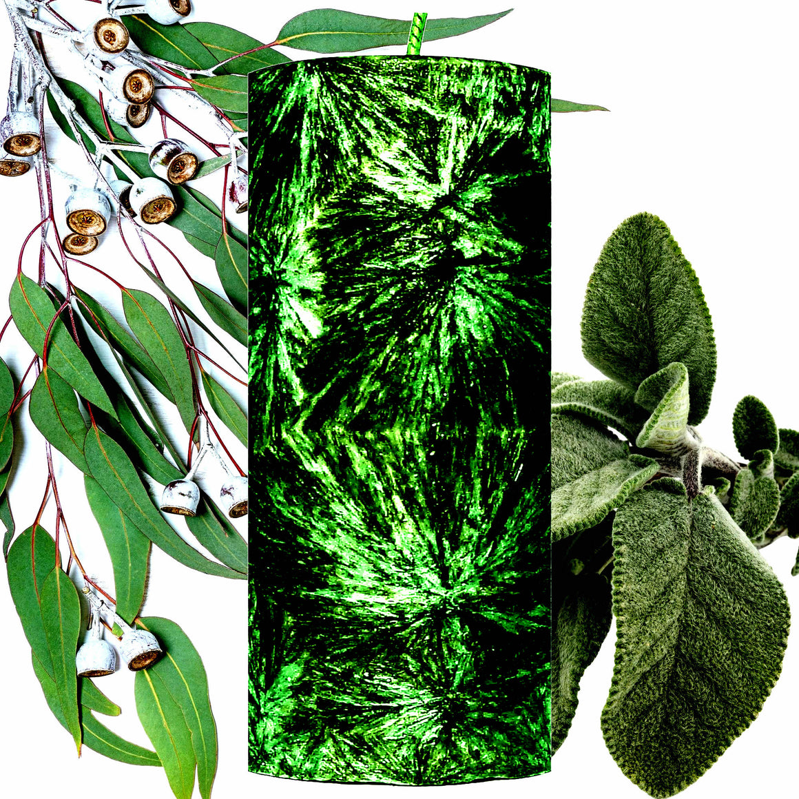 Eucalyptus & Wild Sage Pillar Candle – Plant-Based, Eco-Friendly, Vegan, Cruelty Free