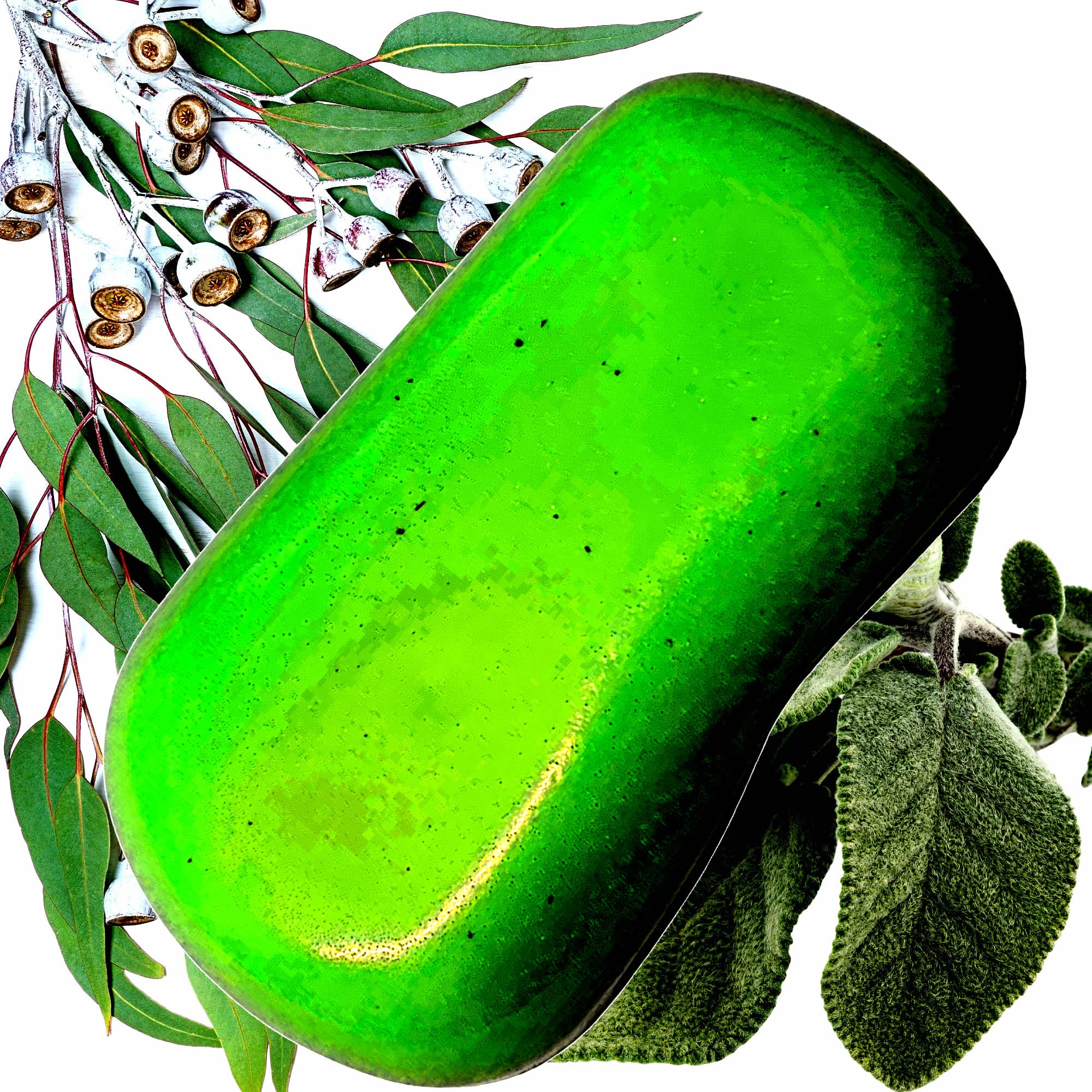 Eucalyptus & Wild Sage Vegan Soap Bars Plant-Based Cruelty-Free Handcrafted