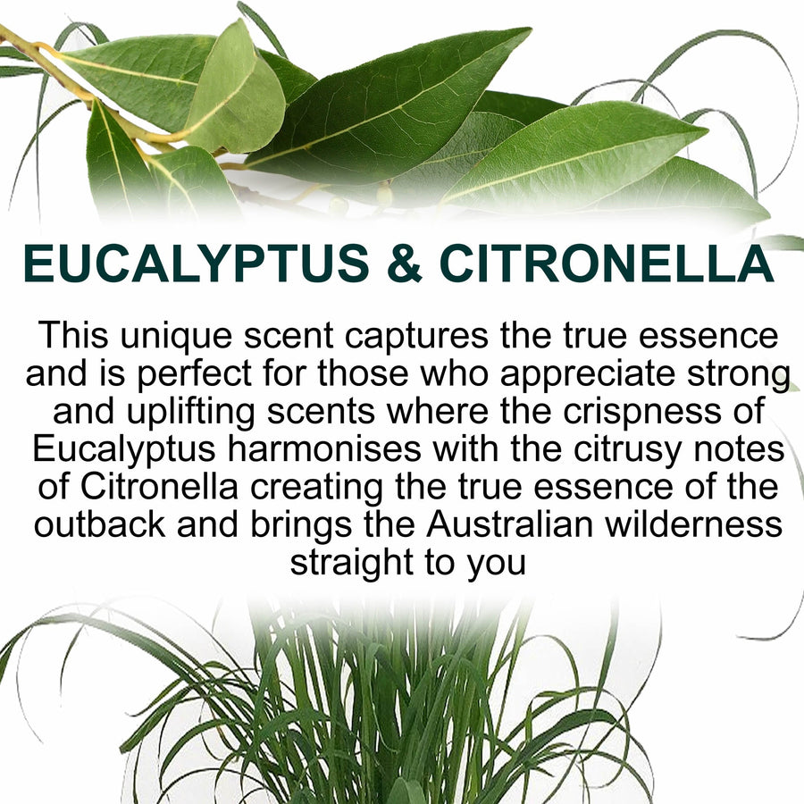 Eucalyptus & Citronella Car Air Freshener Spray – Plant-Based, Vegan, Cruelty-Free & Pet Safe