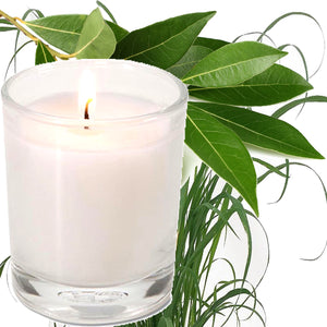 Eucalyptus & Citronella Scented Eco Soy Votive Candles Hand Poured