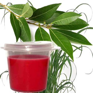 Eucalyptus & Citronella Eco Soy Shot Pot Candle Wax Melts