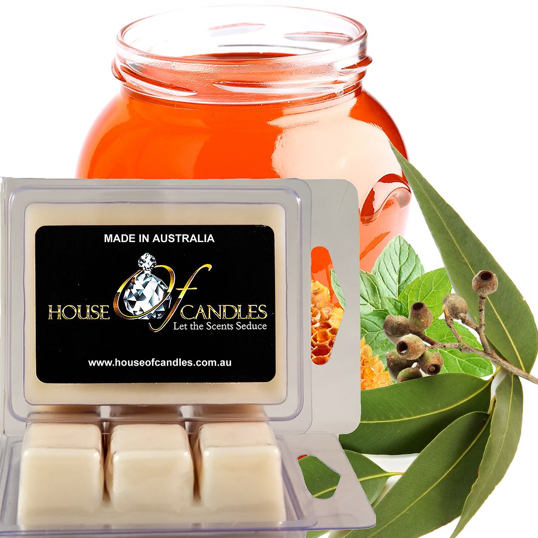Eucalyptus & Honey Eco Soy Candle Wax Melts Clam Packs