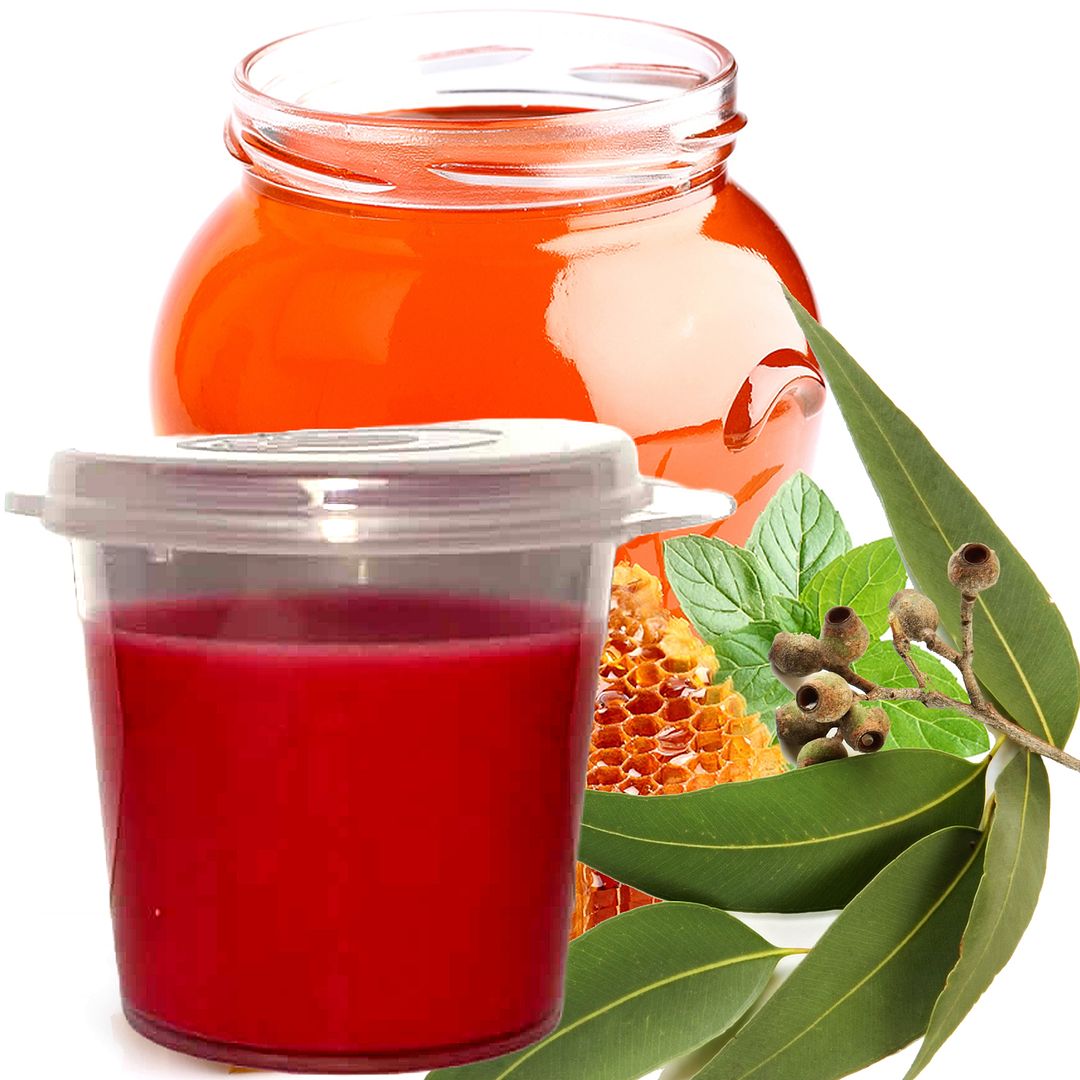 Eucalyptus & Honey Eco Soy Shot Pot Candle Wax Melts