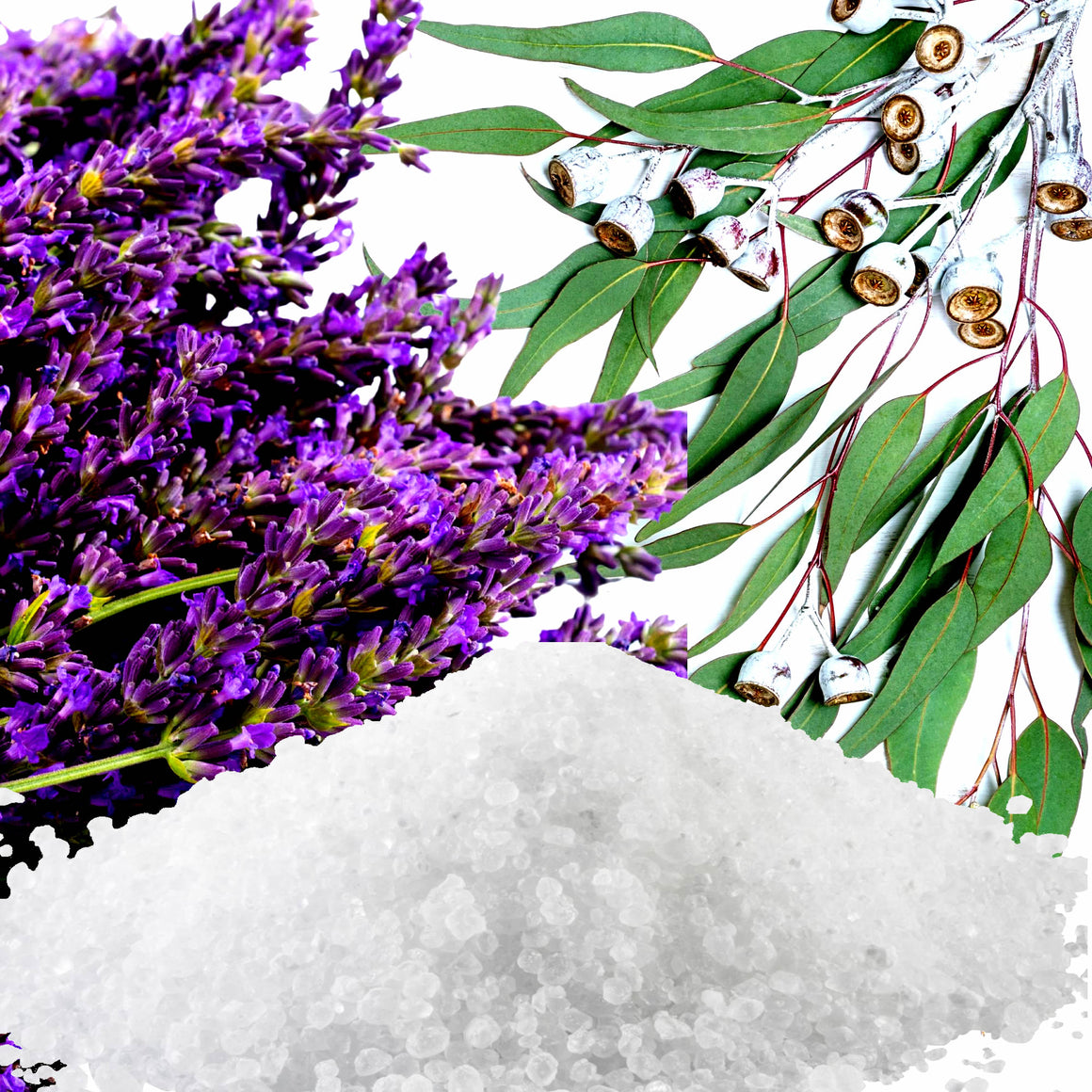 Eucalyptus & Lavender Bath Salts/Bath Soak/Bath Crystals