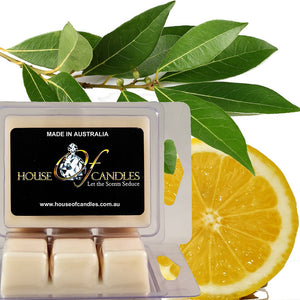 Eucalyptus & Lemon Eco Soy Candle Wax Melts Clam Packs