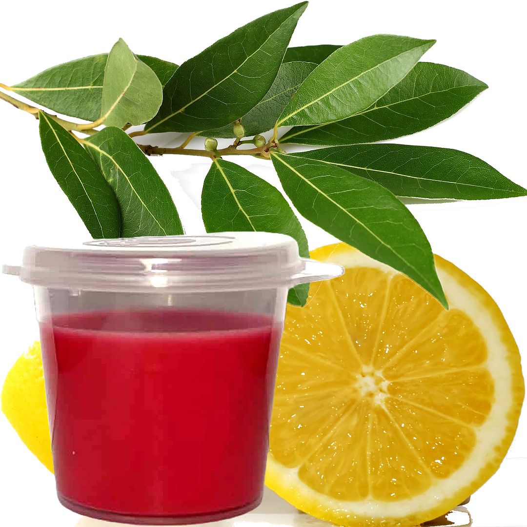 Eucalyptus & Lemon Eco Soy Shot Pot Candle Wax Melts