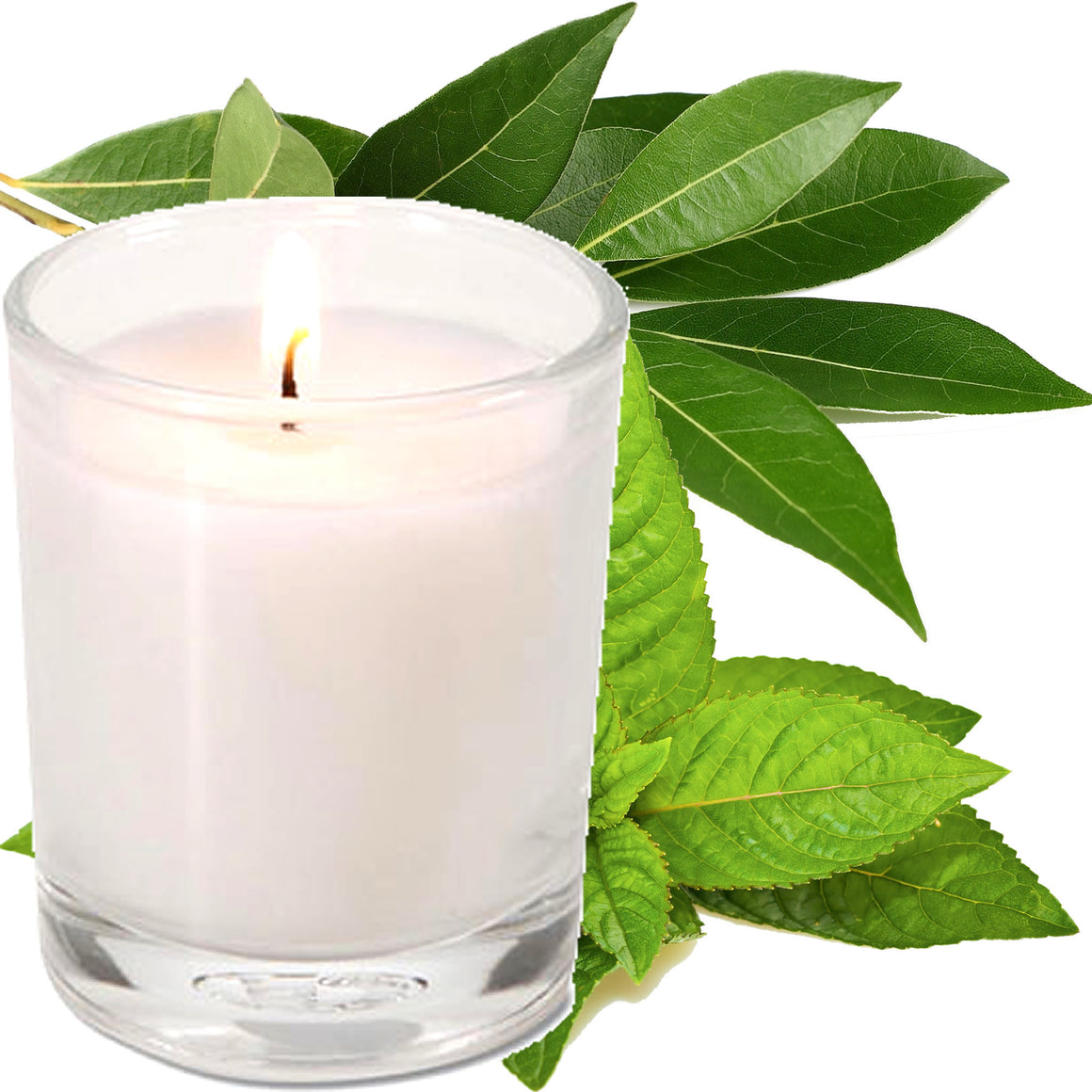 Eucalyptus & Peppermint Scented Eco Soy Votive Candles Hand Poured