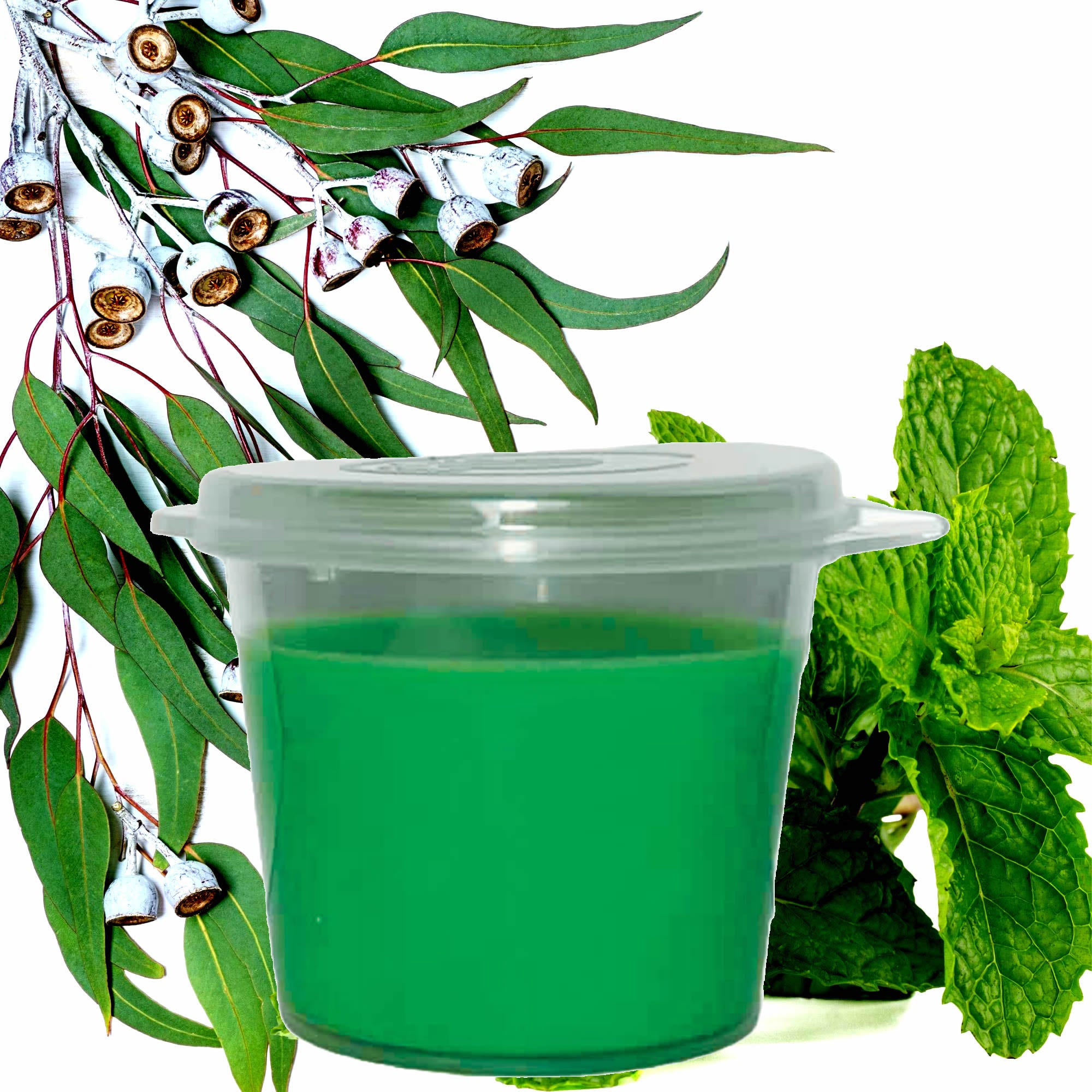 Eucalyptus & Peppermint Soy Candle Melt Shot Pots – Plant-Based, Vegan, Cruelty-Free, Hand-Poured