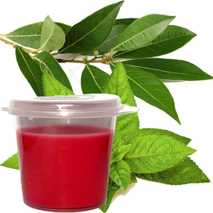 Eucalyptus & Peppermint Eco Soy Shot Pot Candle Melts