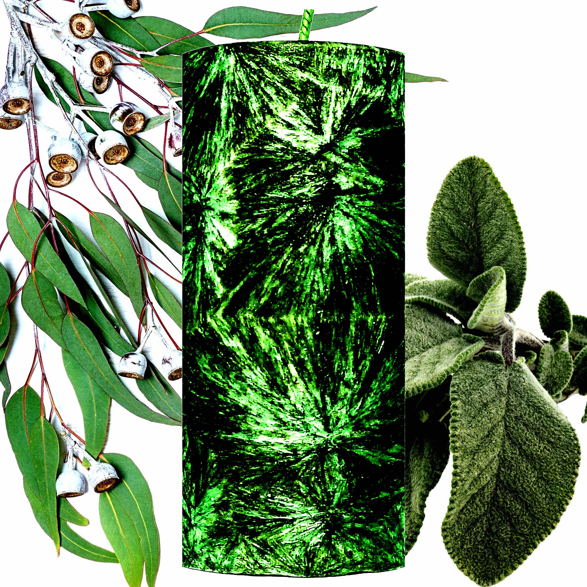 Eucalyptus & Wild Sage Pillar Candle – Plant-Based, Eco-Friendly, Vegan, Cruelty Free