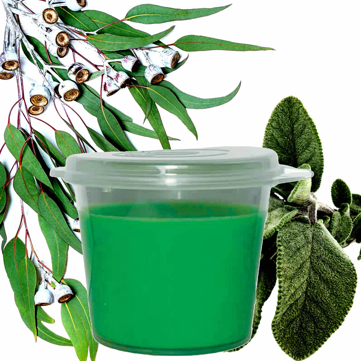 Eucalyptus & Wild Sage Soy Candle Melt Shot Pots – Plant-Based, Vegan, Cruelty-Free, Hand-Poured