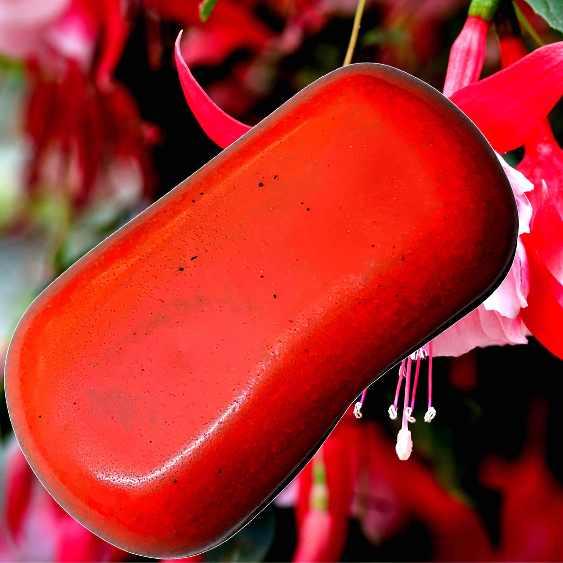 Fleur Ambree Vegan Soap Bars Plant-Based Cruelty-Free Handcrafted