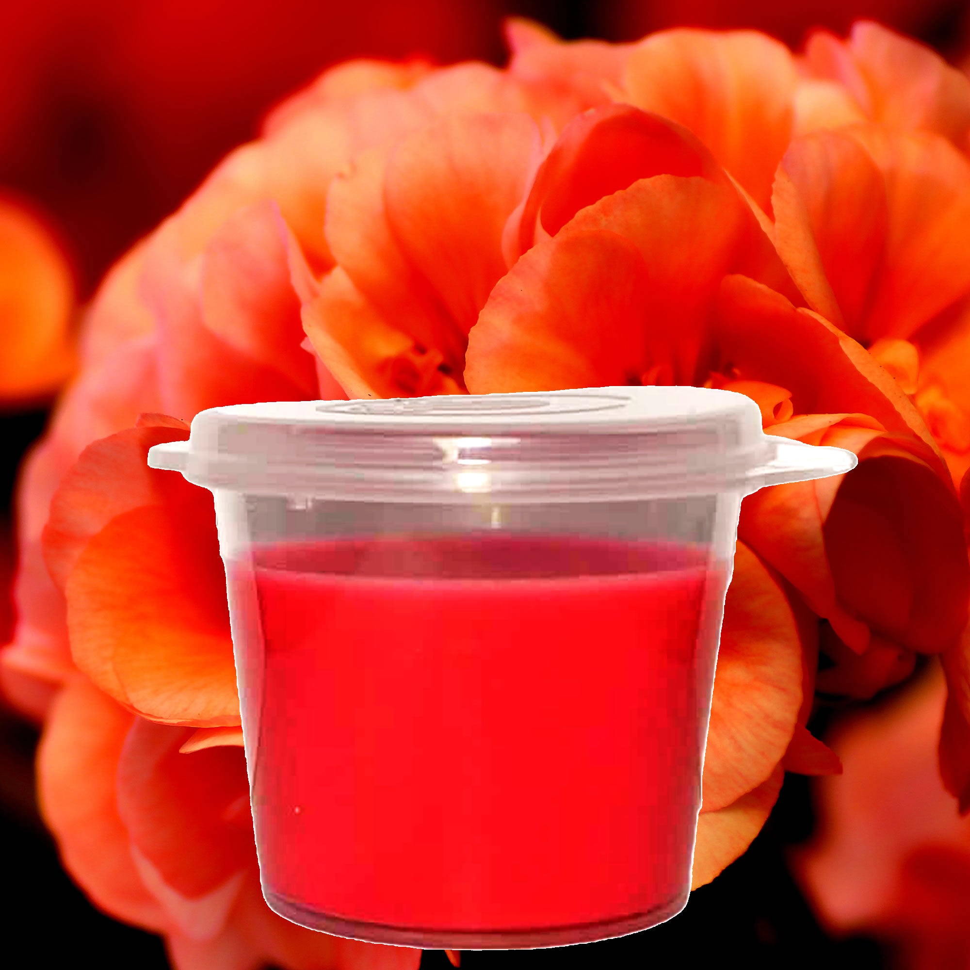 Fleur Ambree Soy Candle Melt Shot Pots – Plant-Based, Vegan, Cruelty-Free, Hand-Poured