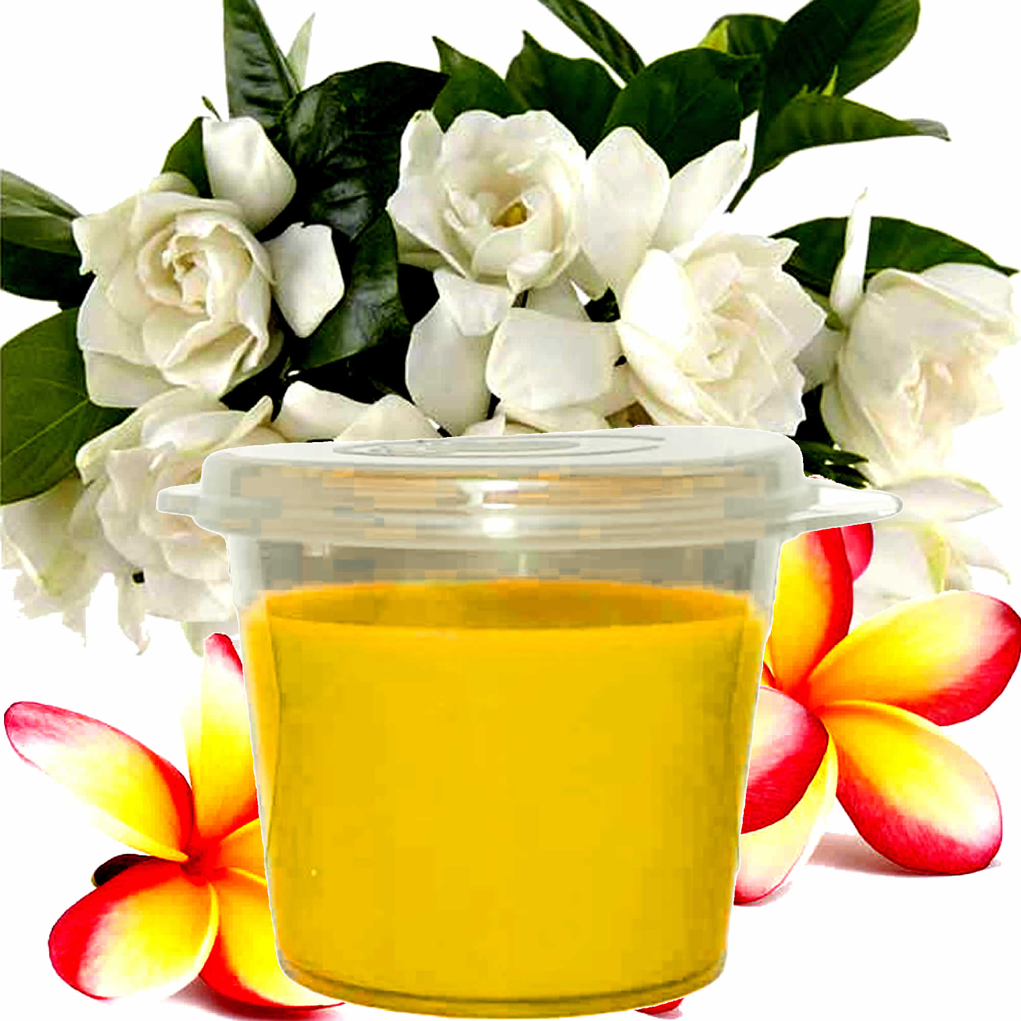 Frangipani Gardenia Jasmine eco soy wax melts – vegan, cruelty-free featuring lush tropical frangipani florals, soft jasmine, and elegant gardenia handmade in Australia.