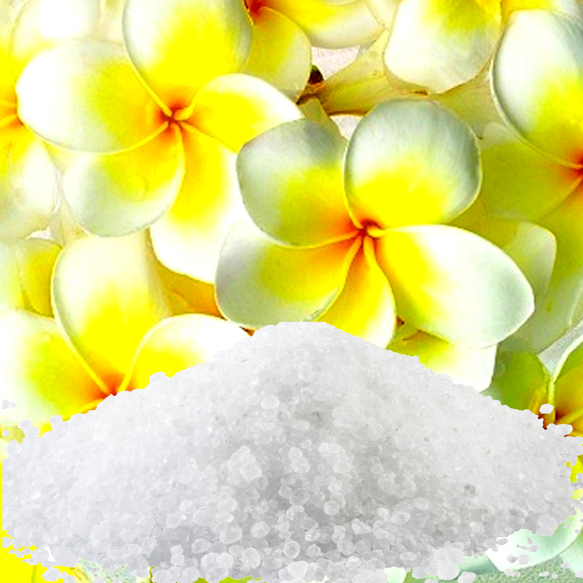 Frangipani Bath Salts/Bath Soak/Bath Crystals