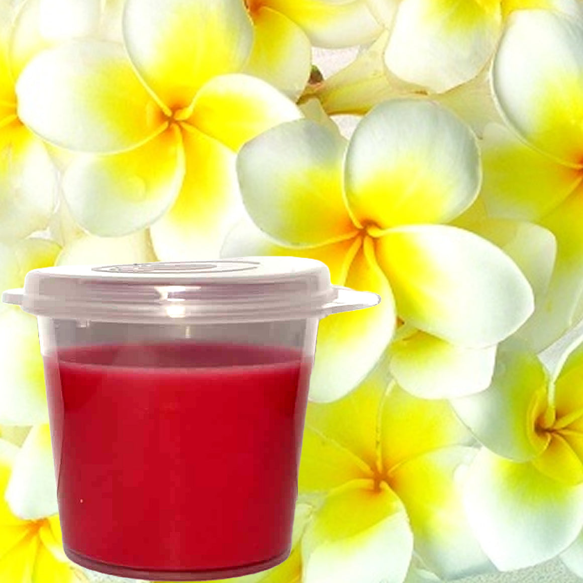 Frangipani Eco Soy Shot Pot Candle Melts