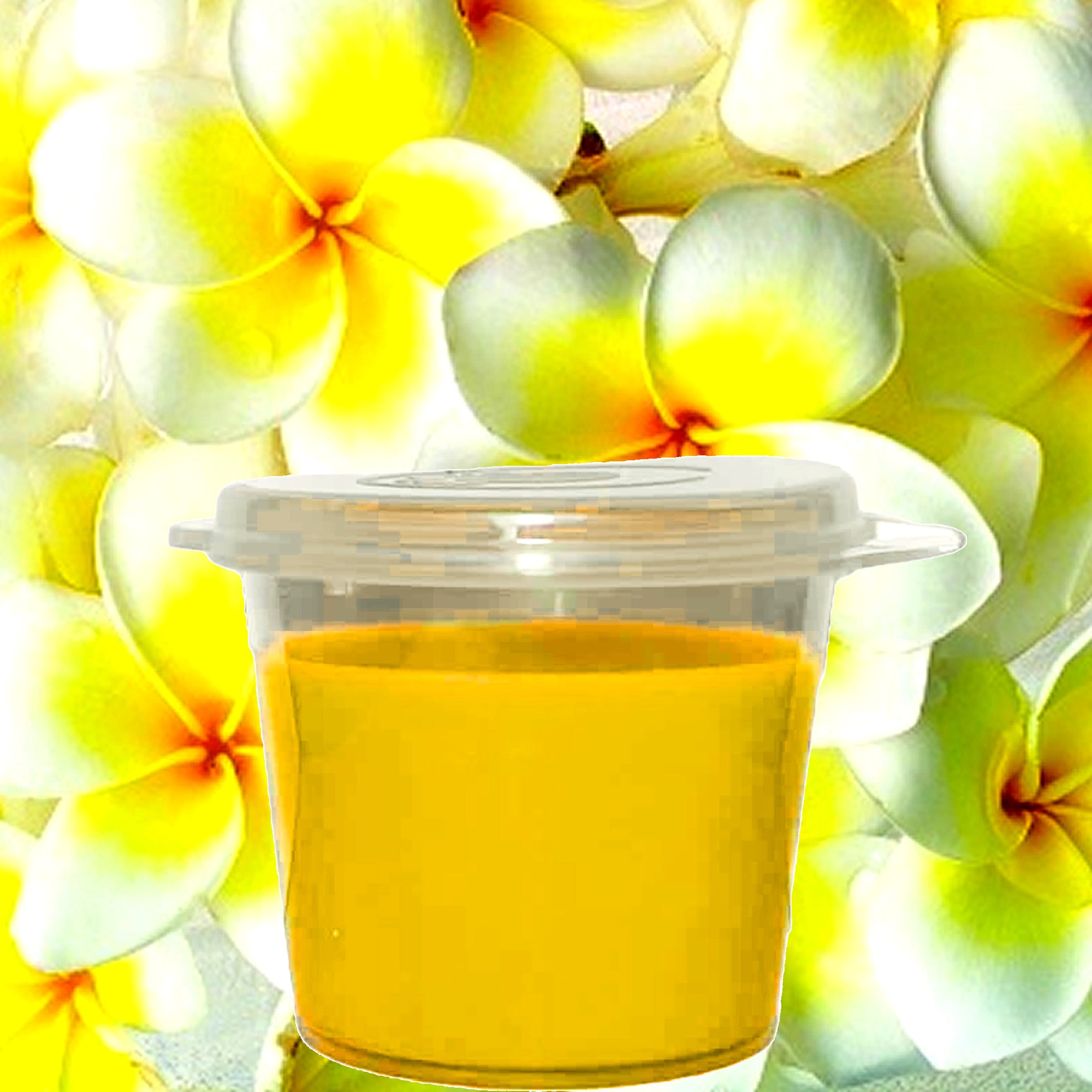 Frangipani Soy Candle Melt Shot Pots – Plant-Based, Vegan, Cruelty-Free, Hand-Poured