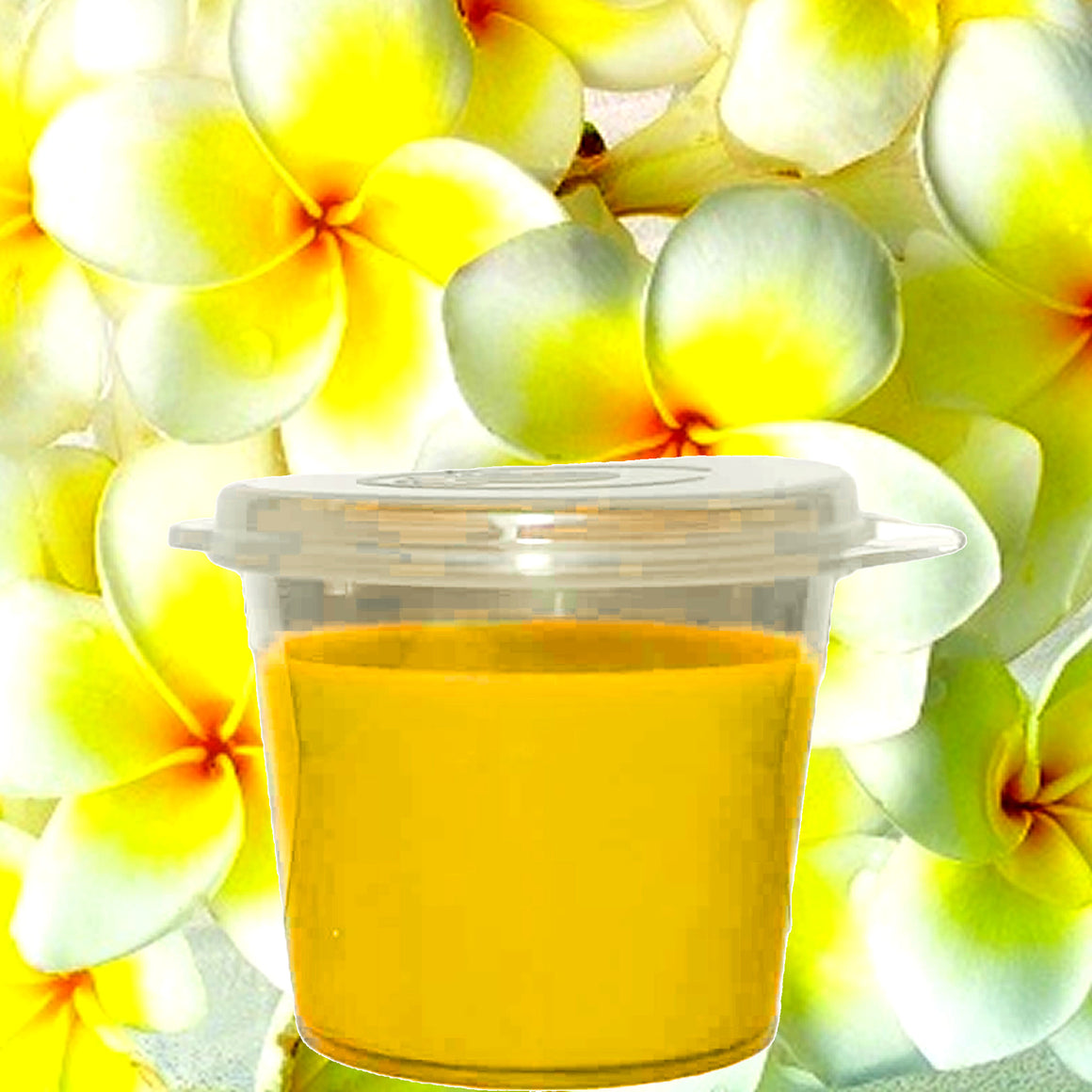 Frangipani Soy Candle Melt Shot Pots – Plant-Based, Vegan, Cruelty-Free, Hand-Poured